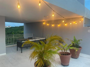 Penthouse Condo, Rooftop Terrace with Hot Tub, 6ppl